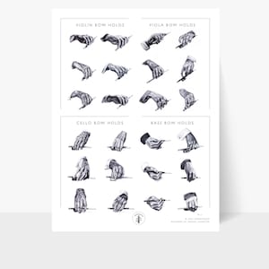 Classroom Poster: 24 Bow Holds