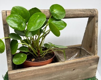 Windowsill Wood Handled Trug Planter for 2 plants - Rustic Farmhouse Vintage container for Plants Cacti Succulent Indoor Herbs Kitchen