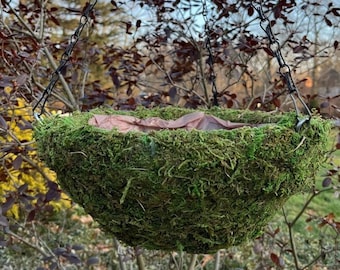 Preserved Moss Hanging Basket - 12" Natural Looking Planter Pot Container