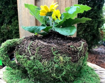 Moss & Stick Tea Cup Planter Pot - 6" Fairy Garden Container Centerpiece