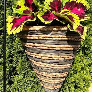 May include: A hanging planter made of woven straw in a cone shape with a green, yellow, and red leafy plant inside.