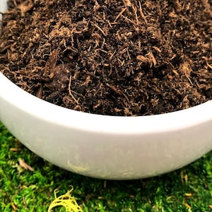 Organic Terrarium Soil Potting Mix Small 1 Quart for Succulents and Indoor Container Plants