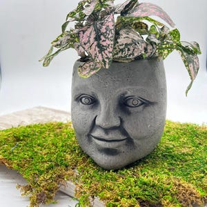 Whimsical Ceramic Face Planter - Small Stone Pot for succulents cacti small plants