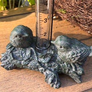May include: A decorative rain gauge featuring two small bird sculptures perched on a branch. The clear glass tube measures rainfall in inches, with a black metal frame. The birds and branch have a green and brown finish.
