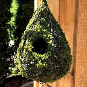 Natural MOSS & Stick Birdhouse SMALL - RAINDROP shape with branching stick accent hanging Fairy garden - like Bird House
