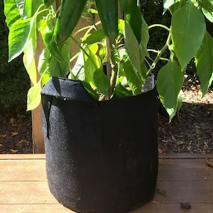 7 Gallon Fabric Grow Bags (Set of 2) - Heavy Duty Felt Planter Pot - Gardening