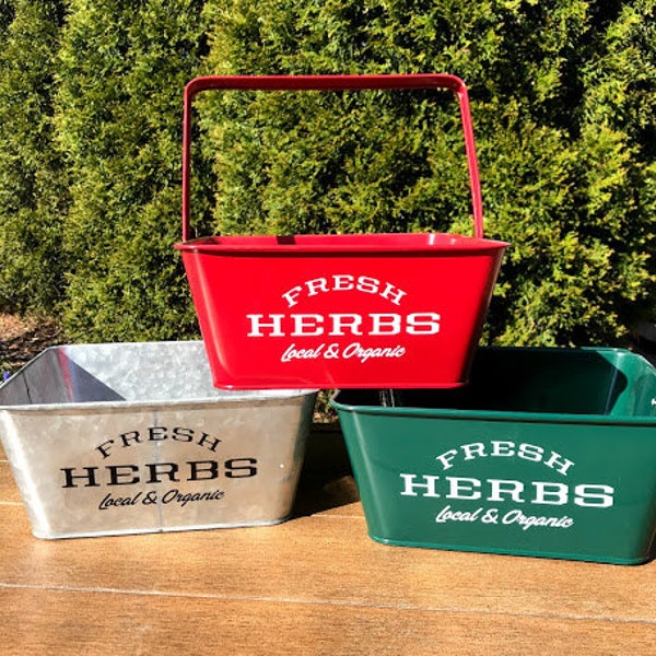 HERBS Local & Organic Growing Basket - Rustic Farmhouse small planter for Plants Flowers Veggies Mason Jars Egg container Kitchen Herb Pot