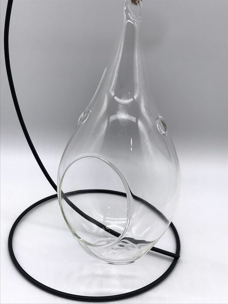 Maceta colgante de cristal con forma de gota de lluvia y soporte para plantas de aire - Suculentas Tillandsia, fácil cuidado, para plantas de poca luz. Terrario. imagen 4