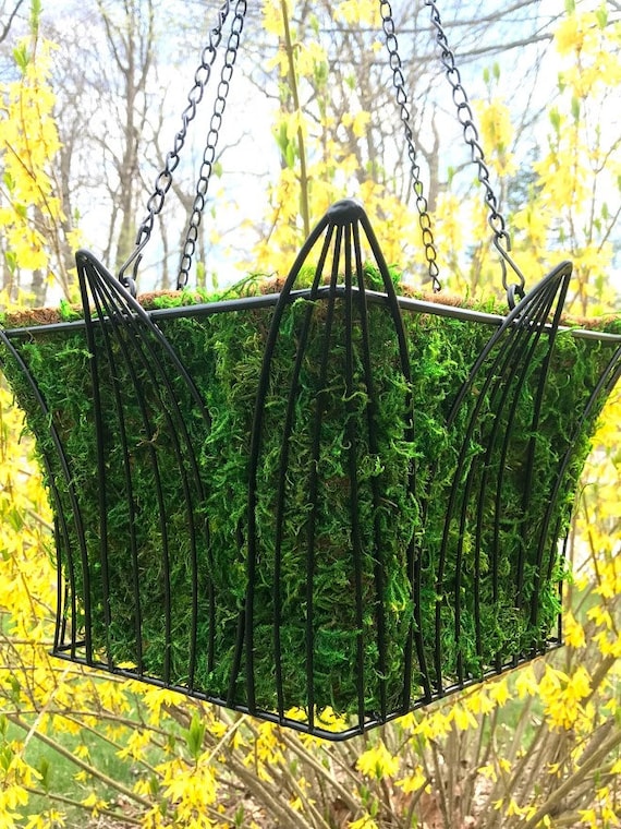 Square Metal & Moss Coco 14 Hanging Basket Natural - Etsy