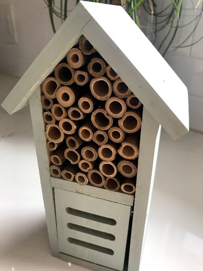 May include: A light green wooden insect house with a front opening and a compartment filled with bamboo tubes for solitary bees and wasps.