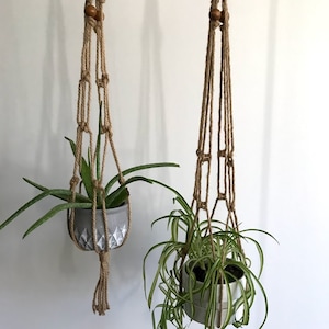 May include: Two macrame plant hangers with wooden beads, each holding a potted plant. The plant on the left is a succulent in a gray pot, and the plant on the right is a spider plant in a white pot.