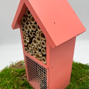May include: A pink wooden insect house with a front panel made of a wire mesh and a back panel filled with bamboo tubes. The house is sitting on a bed of green moss.