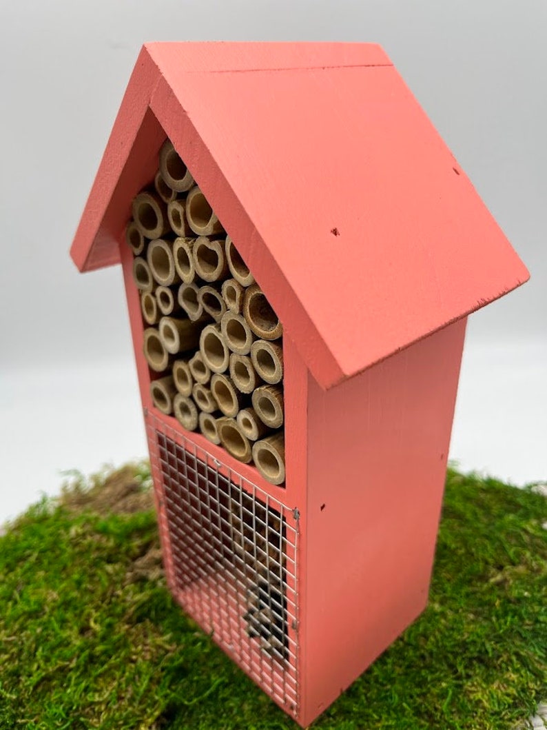 May include: A pink wooden insect house with a front panel made of a wire mesh and a back panel filled with bamboo tubes. The house is sitting on a bed of green moss.