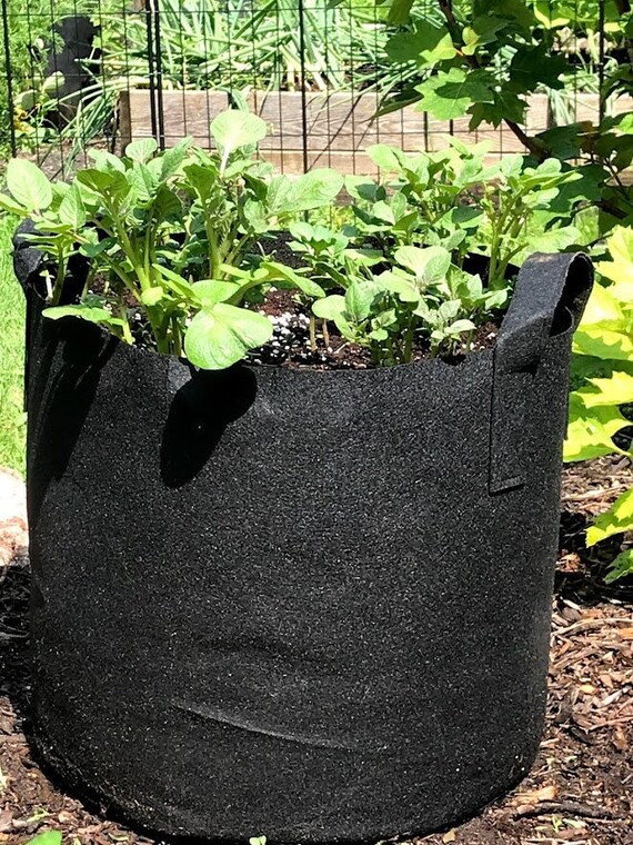 OwnGrown Plant Growing Bags : 2x5 Gallon Plant Grow Bags for Balcony or Garden Plants – Potato Grow Bags – Water-permeable Garden Planters –