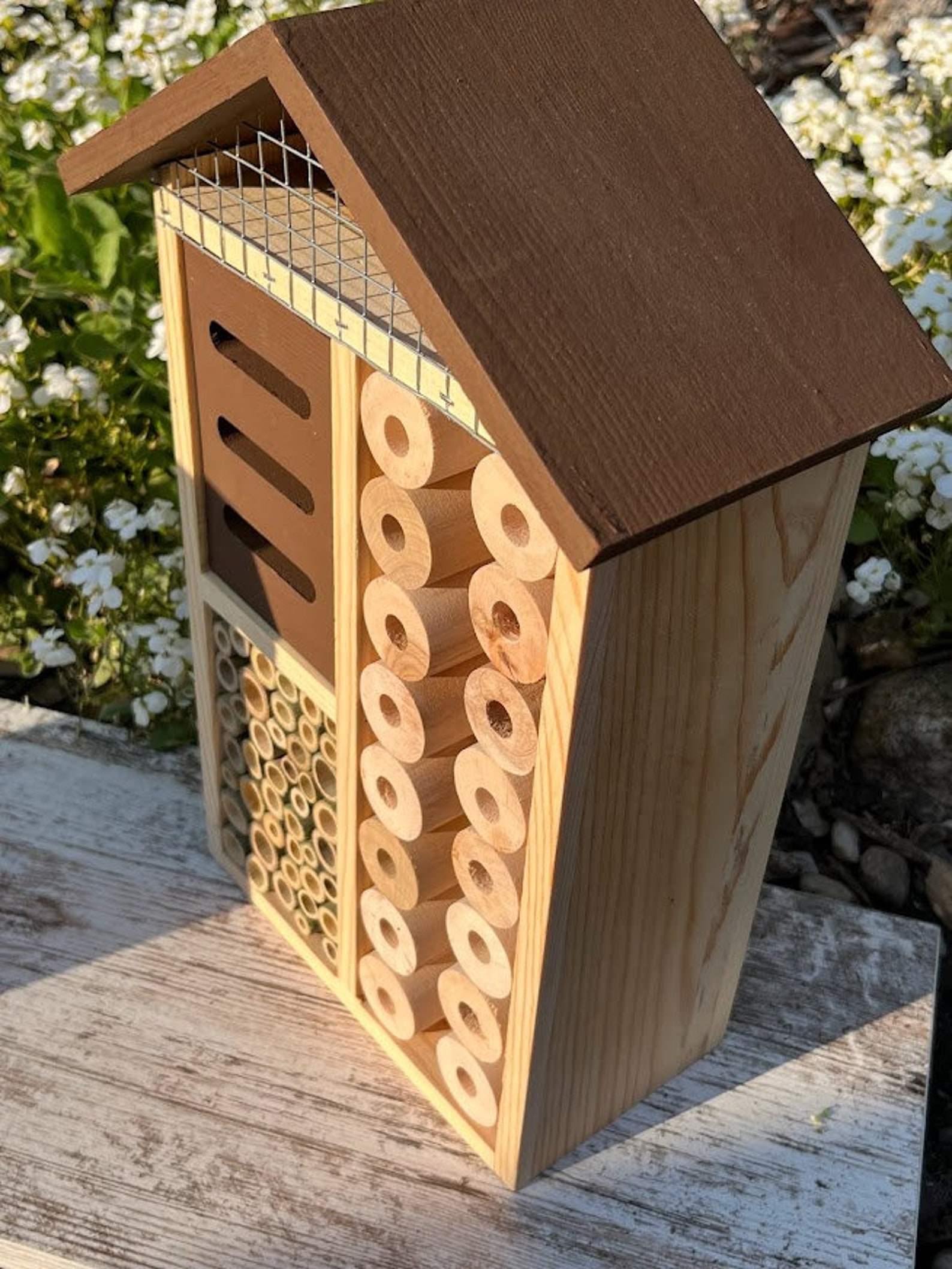 Sunny Pollinator Hotel - Green Roof