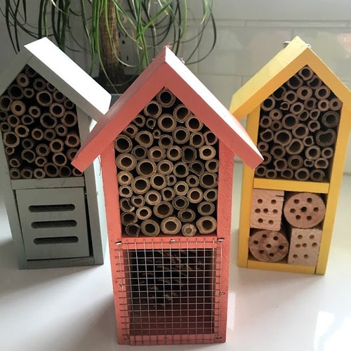 Maison ensoleillée pour pollinisateurs - Hôtel à insectes de 2 pièces, habitat d'abeilles et de coccinelles indigènes