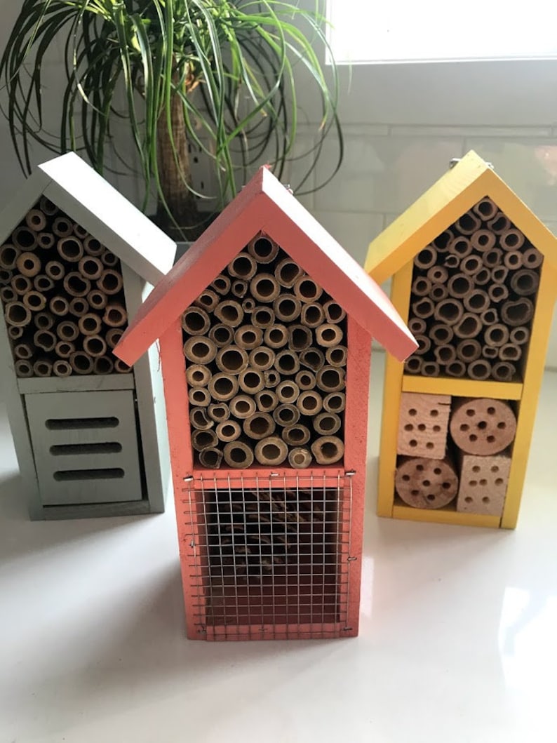 May include: Three wooden insect houses, painted in different colors: light blue, pink, and yellow. Each house has a variety of compartments for different types of insects to nest in.