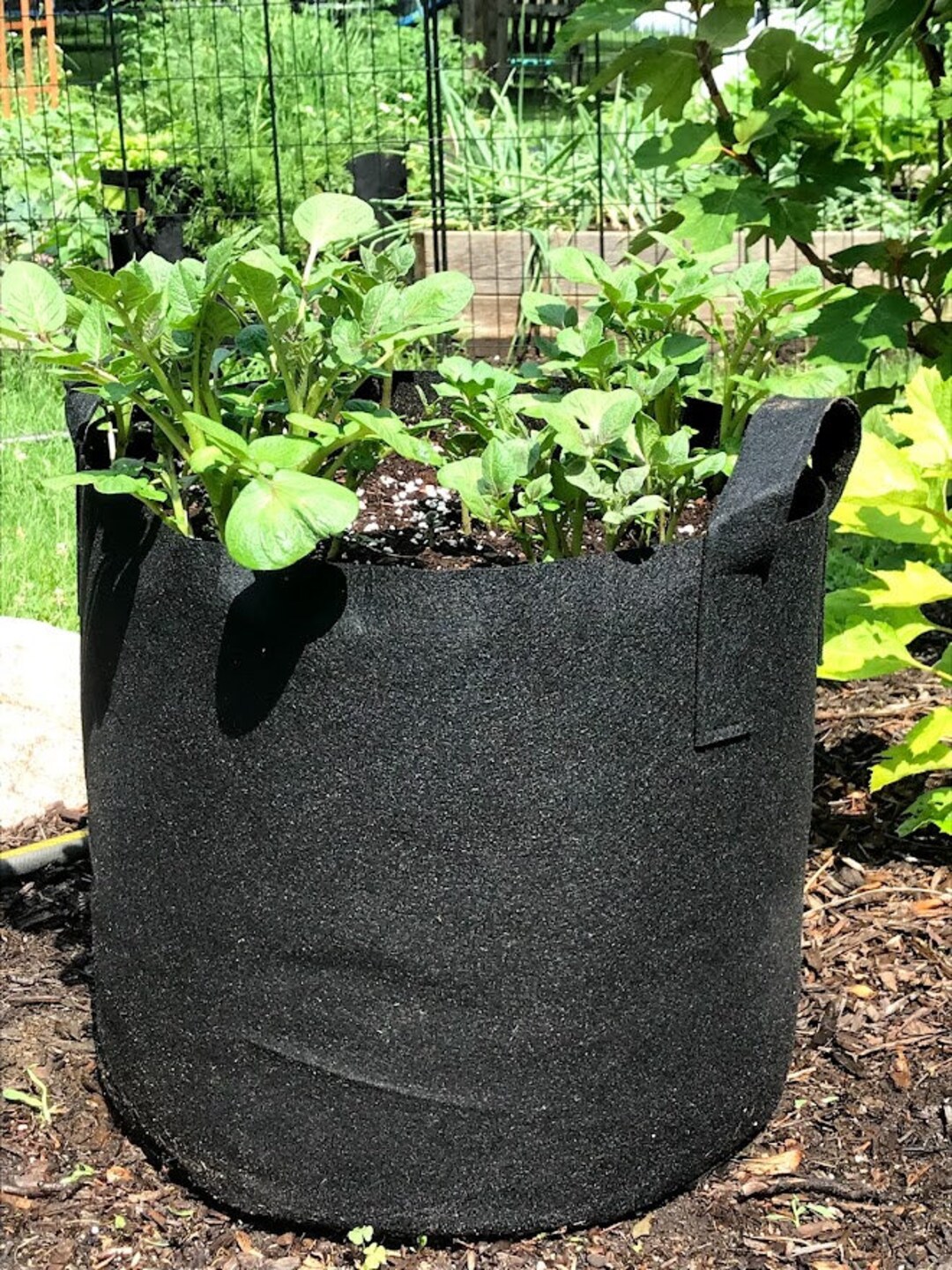 Auto Beyond 12-Pack 5-Gallon Non-Woven Planting Bags, Heavy Duty Aerated Fabric Pots with Durable Handles, Potato Planting Bags