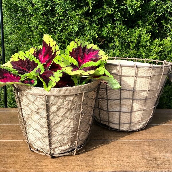 Wire Basket Planter Etsy