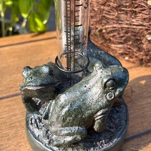 Op de afbeelding: Een groene, kikker-vormige regenmeter met een heldere, cilindrische meetbuis. De meter is gemaakt van een donkergroen materiaal en heeft twee kikkerfiguren. De buis heeft metingen in centimeters.