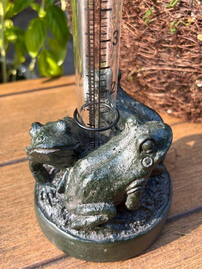 Op de afbeelding: Een groene, kikker-vormige regenmeter met een heldere, cilindrische meetbuis. De meter is gemaakt van een donkergroen materiaal en heeft twee kikkerfiguren. De buis heeft metingen in centimeters.