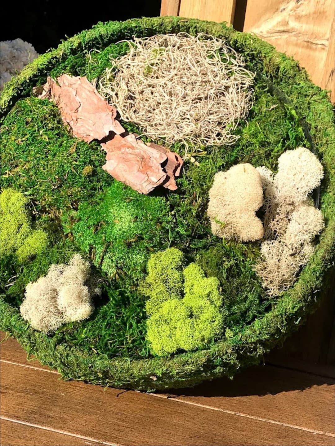 Kit de musgo preservado DIY: Jardín de hadas con base de plataforma - Etsy  México, image size:1080x1440