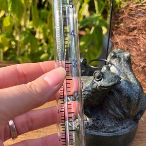 Op de afbeelding: Een heldere glazen regenmeter met zwarte markeringen. De meter wordt voor een donkergroen kikkerbeeld gehouden. De meter meet tot 12,7 cm.