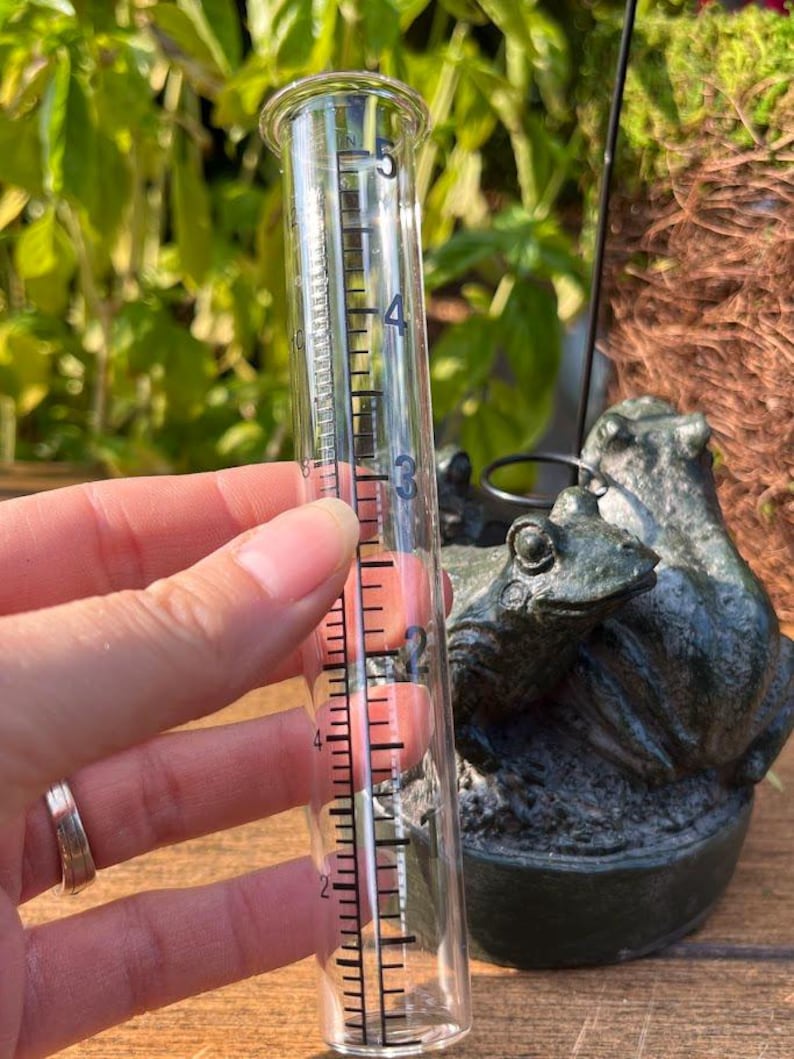 Op de afbeelding: Een heldere glazen regenmeter met zwarte markeringen. De meter wordt voor een donkergroen kikkerbeeld gehouden. De meter meet tot 12,7 cm.