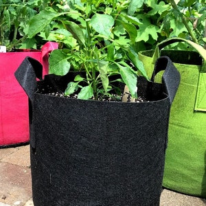 5 Gallon Fabric Grow Bags (Set of 2): Black or Green Felt Planters