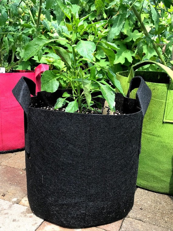 Container Gardening: Growing In Fabric Pots