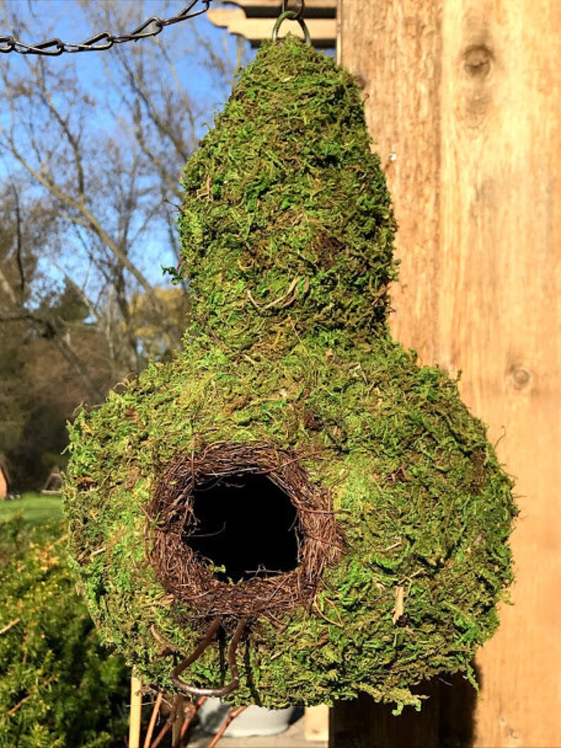 Natural MOSS & Stick Birdhouse GOURD shape with branching ...