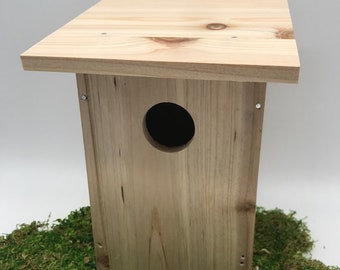 Kids Birdhouse Kit with Clear Viewing Window - Children's DIY Build Your Own Wood Bird House