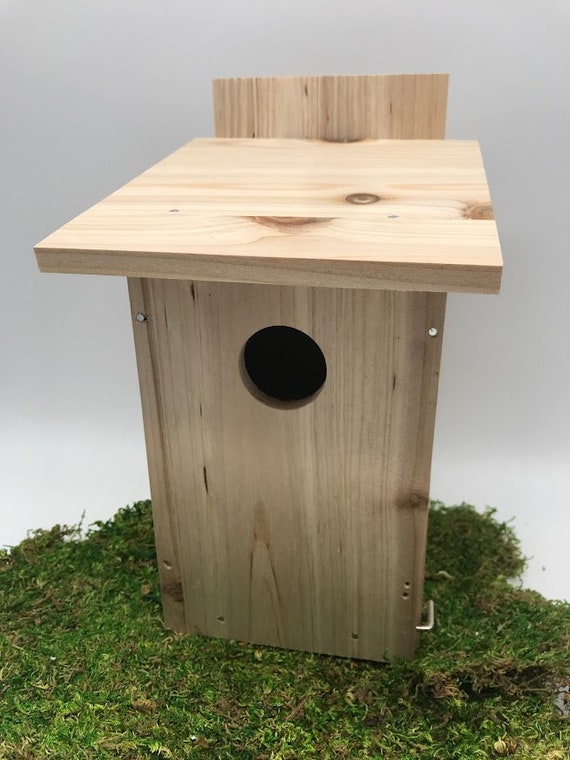 Kids birdhouse sale kit