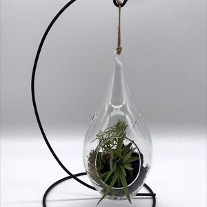 Puede incluir: Un terrario de vidrio transparente en forma de l&aacute;grima, suspendido de un soporte de metal negro. El terrario contiene una peque&ntilde;a planta verde, musgo y tierra. El soporte tiene un brazo curvo y una base circular.