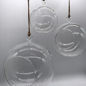 Air Plant Glass Globe Bulb Hanging Planter Pot Tillandsia Succulents Small Medium Large Terrarium