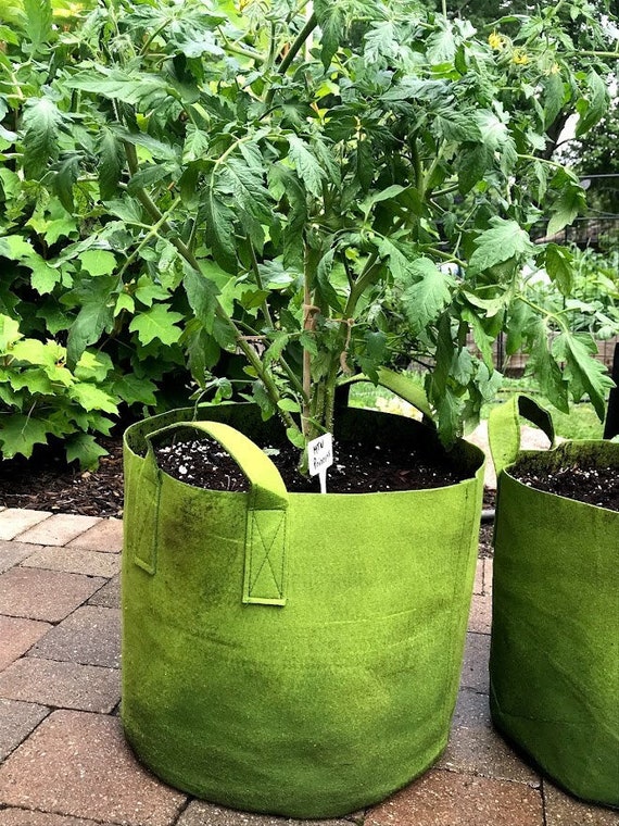 10 Gallon Green or Black Pot Planter Potato Onions Root Veggie