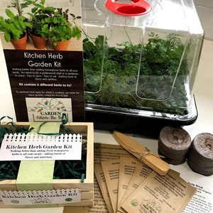 Kitchen Herb Garden Collection +  Table Top Greenhouse - Organic Garden Seeds Fun & Easy Specialty Garden Grow Kit Unique Gardening Gift Set
