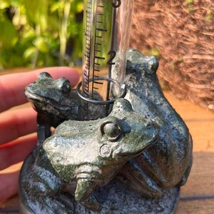 Op de afbeelding: Een groene regenmeter met kikker-thema. De meter heeft een heldere, cilindrische buis met meetmarkeringen in centimeters. Drie kikkerbeeldjes zijn gegroepeerd rond de basis. De meter wordt door een hand vastgehouden.