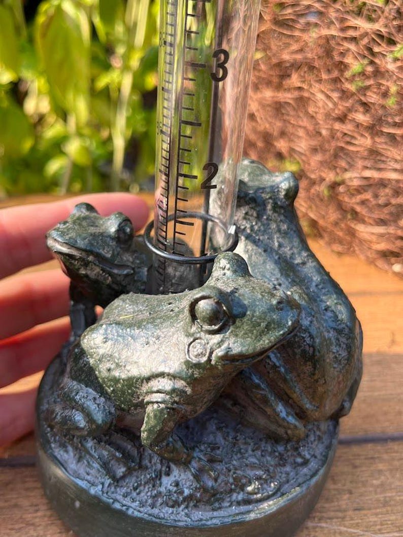 Op de afbeelding: Een groene regenmeter met kikker-thema. De meter heeft een heldere, cilindrische buis met meetmarkeringen in centimeters. Drie kikkerbeeldjes zijn gegroepeerd rond de basis. De meter wordt door een hand vastgehouden.
