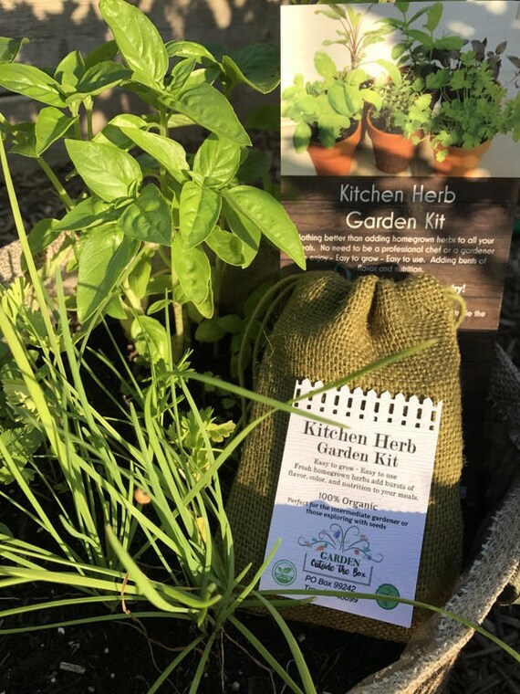 Kitchen Herb Garden Seed Kit 100 Usda Organic Windowsill Etsy