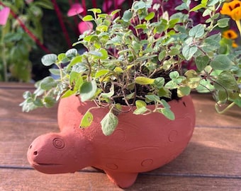 Turtle Terracotta Pottery Planter for small plants or succulents - Garden Pot
