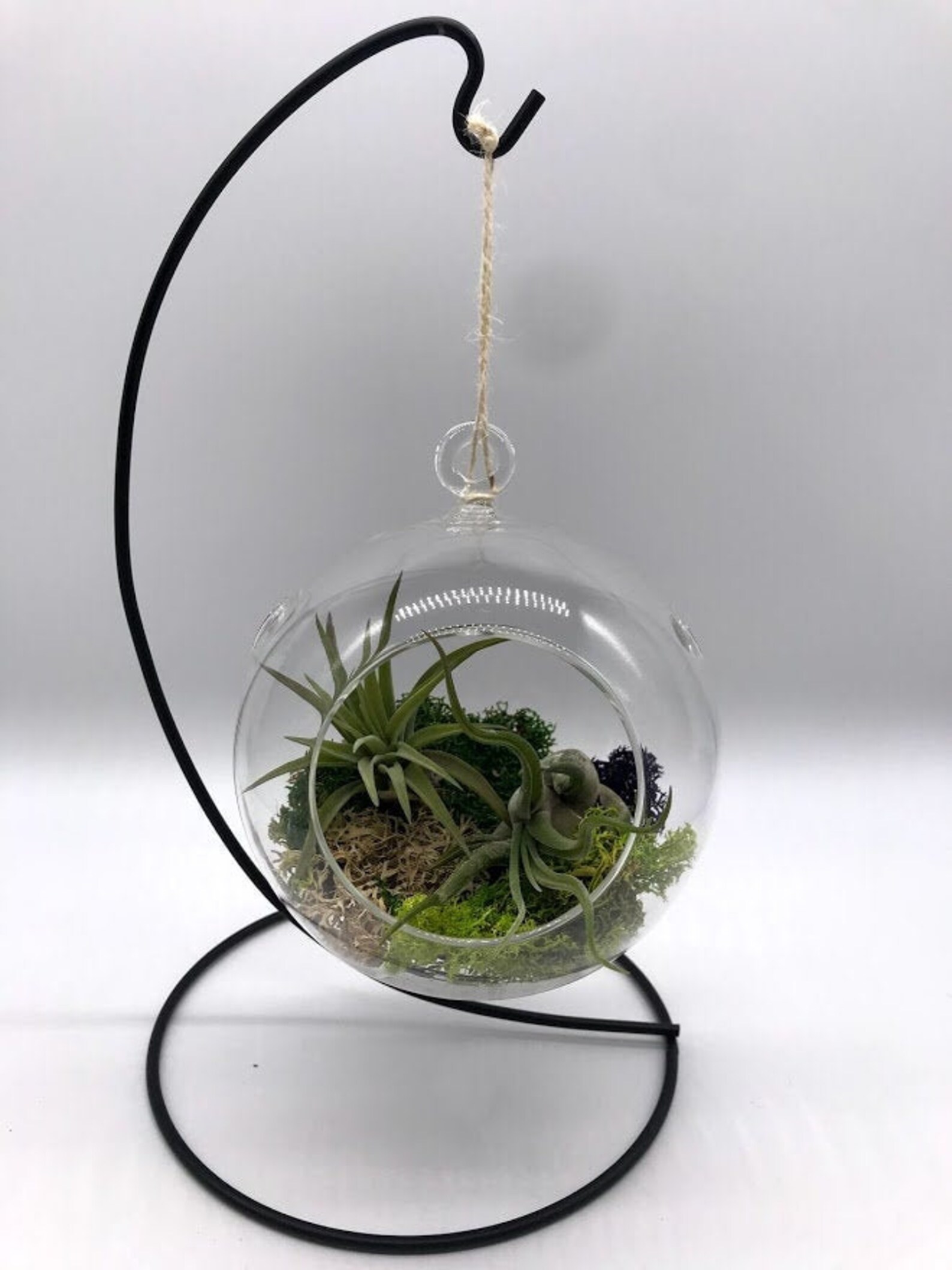 Air Plant Glass Globe W/ STAND Bulb Hanging Planter Pot Etsy Israel