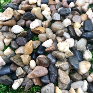 5 lb Natural Polished River Stones Rocks Pebbles - Fun for Fairy Gardens or Terrariums