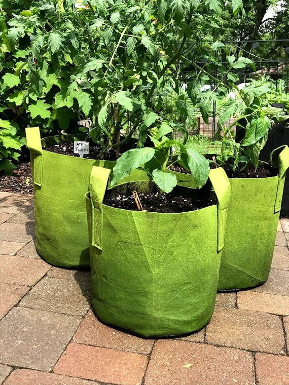 3 Gallon Fabric Grow Bags Pots - Set of 3 - Heavy Duty Felt Patio Planters  - Etsy