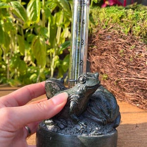 Op de afbeelding: Een donkergroene, kikker-vormige regenmeter. De meter heeft een heldere buis met meetmarkeringen. De kikker zit op een voet, en de meter wordt op zijn plaats gehouden door een metalen ring. De achtergrond is wazig met groen. Maten in cm.