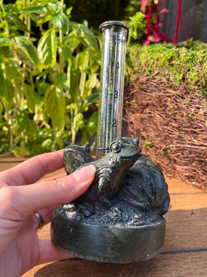 Op de afbeelding: Een donkergroene, kikker-vormige regenmeter. De meter heeft een heldere buis met meetmarkeringen. De kikker zit op een voet, en de meter wordt op zijn plaats gehouden door een metalen ring. De achtergrond is wazig met groen. Maten in cm.