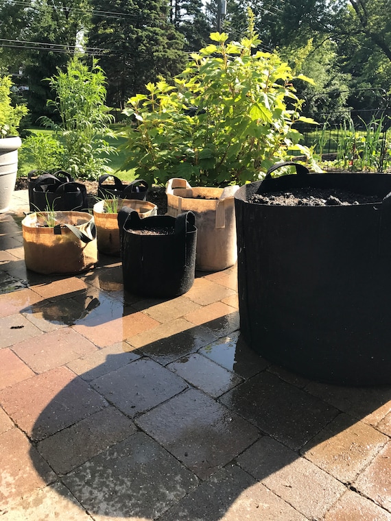 20 gallon pot deals