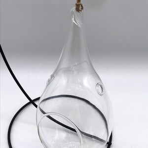 Maceta colgante de cristal con forma de gota de lluvia y soporte para plantas de aire - Suculentas Tillandsia, fácil cuidado, para plantas de poca luz. Terrario. imagen 2