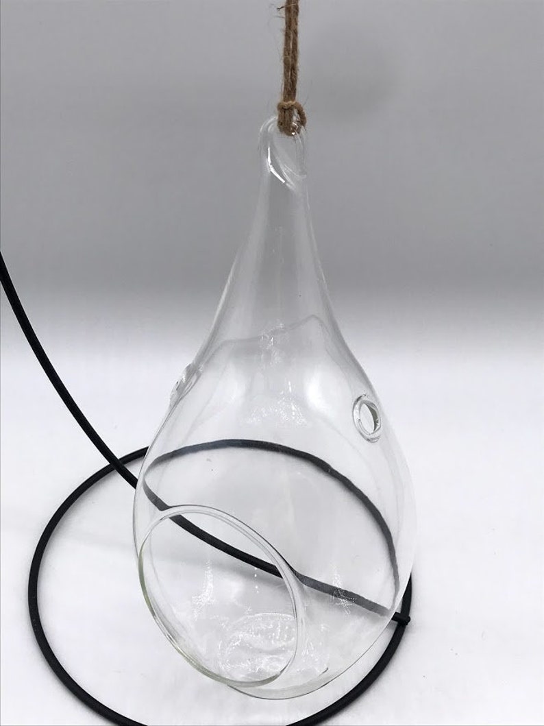 Maceta colgante de cristal con forma de gota de lluvia y soporte para plantas de aire - Suculentas Tillandsia, fácil cuidado, para plantas de poca luz. Terrario. imagen 2