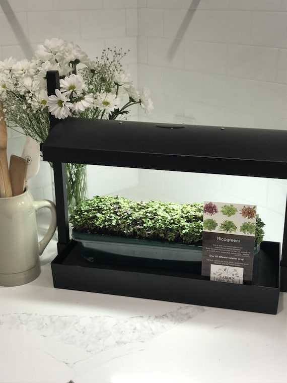 Micro grow light new arrivals